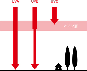 uvcのグラフ